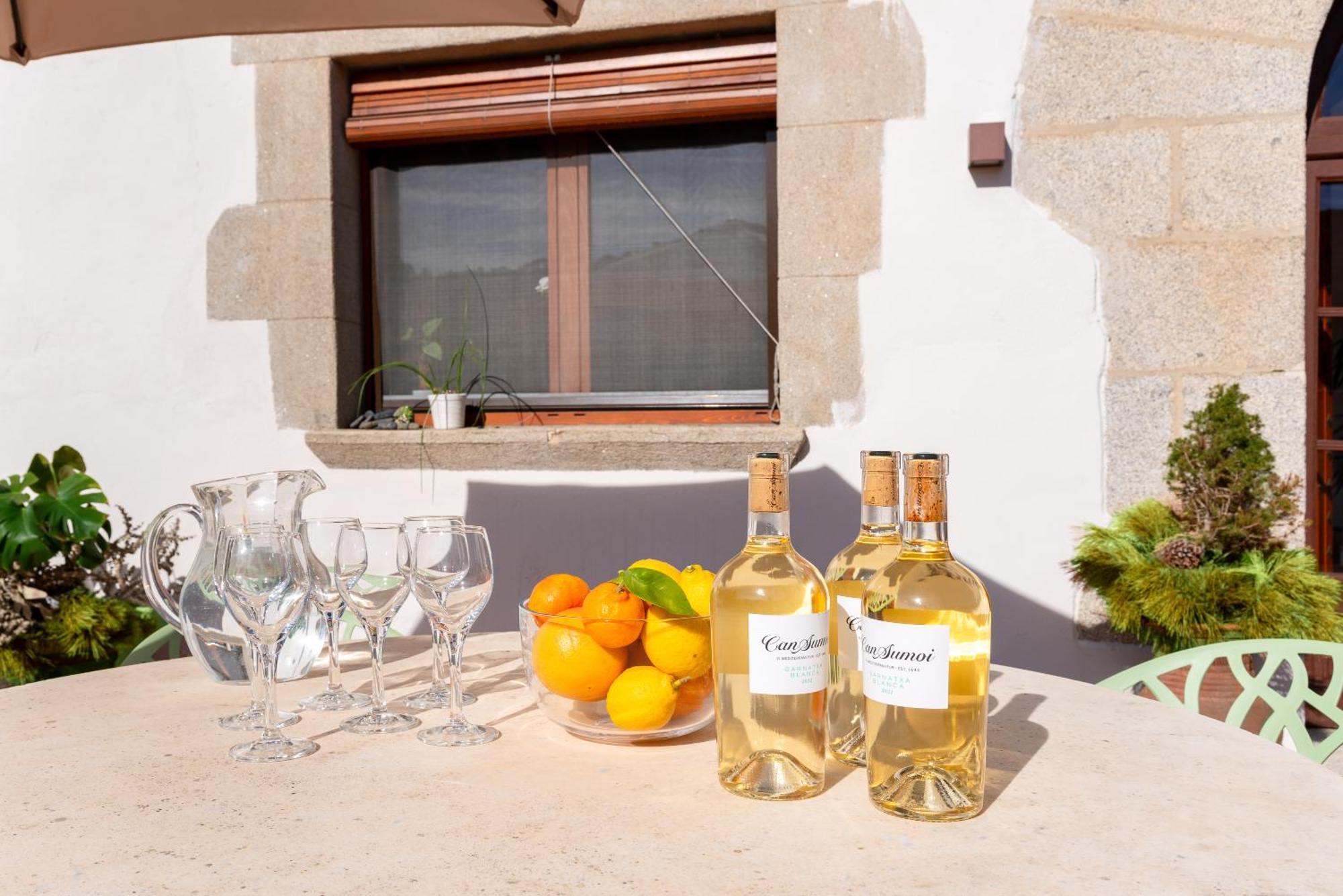 La Terraza - Grosszuegiges Appartment In Katalanischer Masia Sant Iscle De Vallalta Екстериор снимка